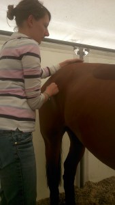 Treating at Luhmuhlen 2014