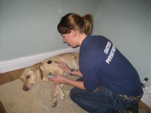 Use of neuromuscular stimulation 